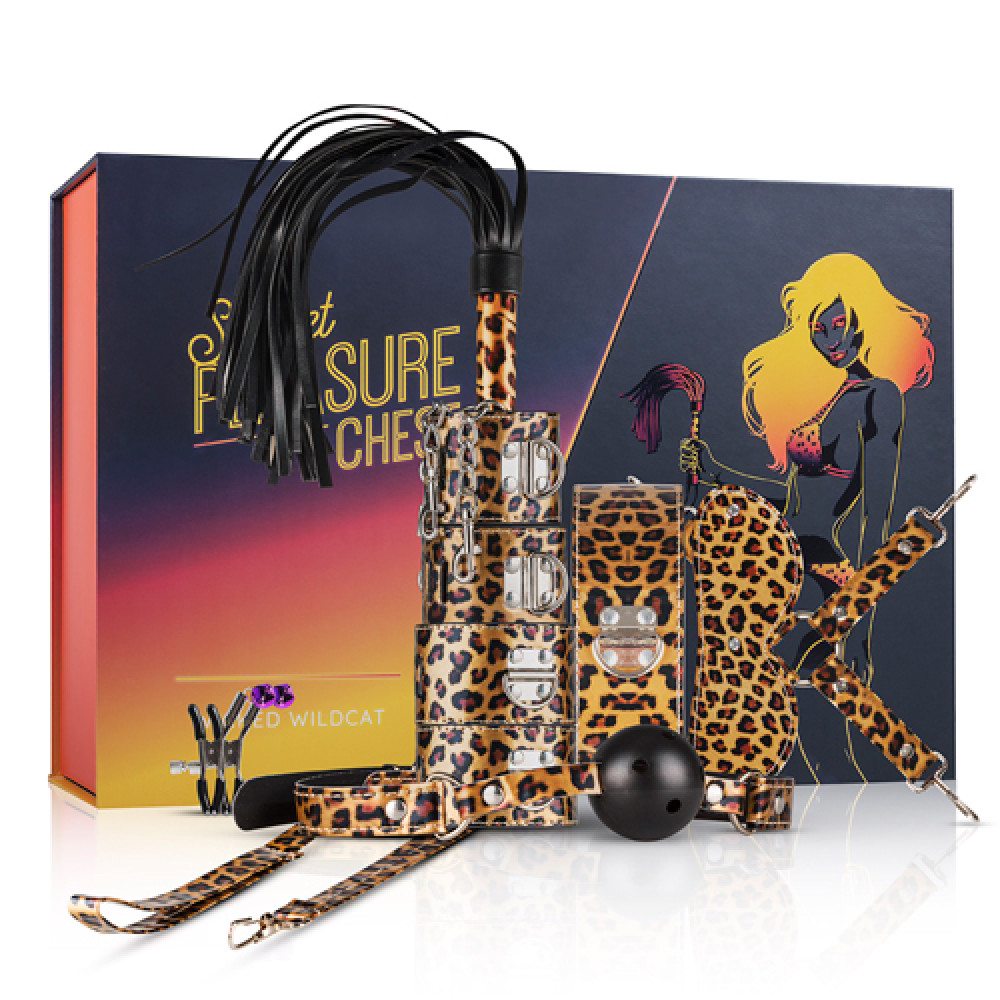 Наборы для БДСМ - LBX405 Набор БДСМ Secret Pleasure Chest - Wicked Wildcat