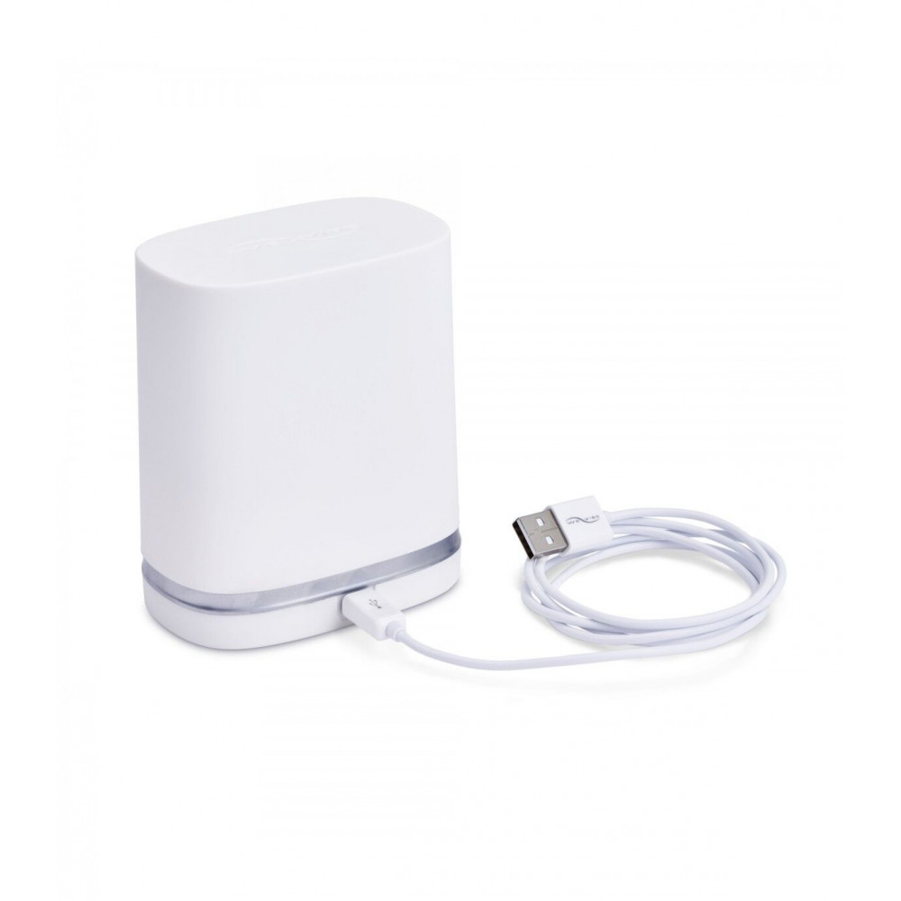  - Дорожный футляр и кабель для зарядки Chorus by We-Vibe — Charger & Travel Case w/USB Cable