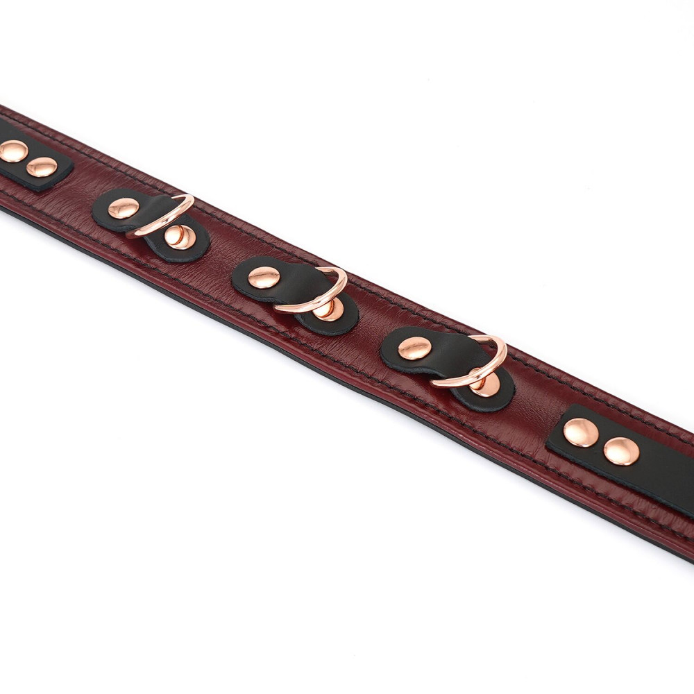 Ошейники, поводки - Ошейник с поводком Liebe Seele Wine Red Collar and Leash 3