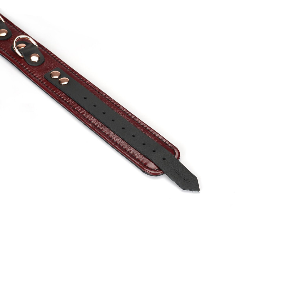 Ошейники, поводки - Ошейник с поводком Liebe Seele Wine Red Collar and Leash 5