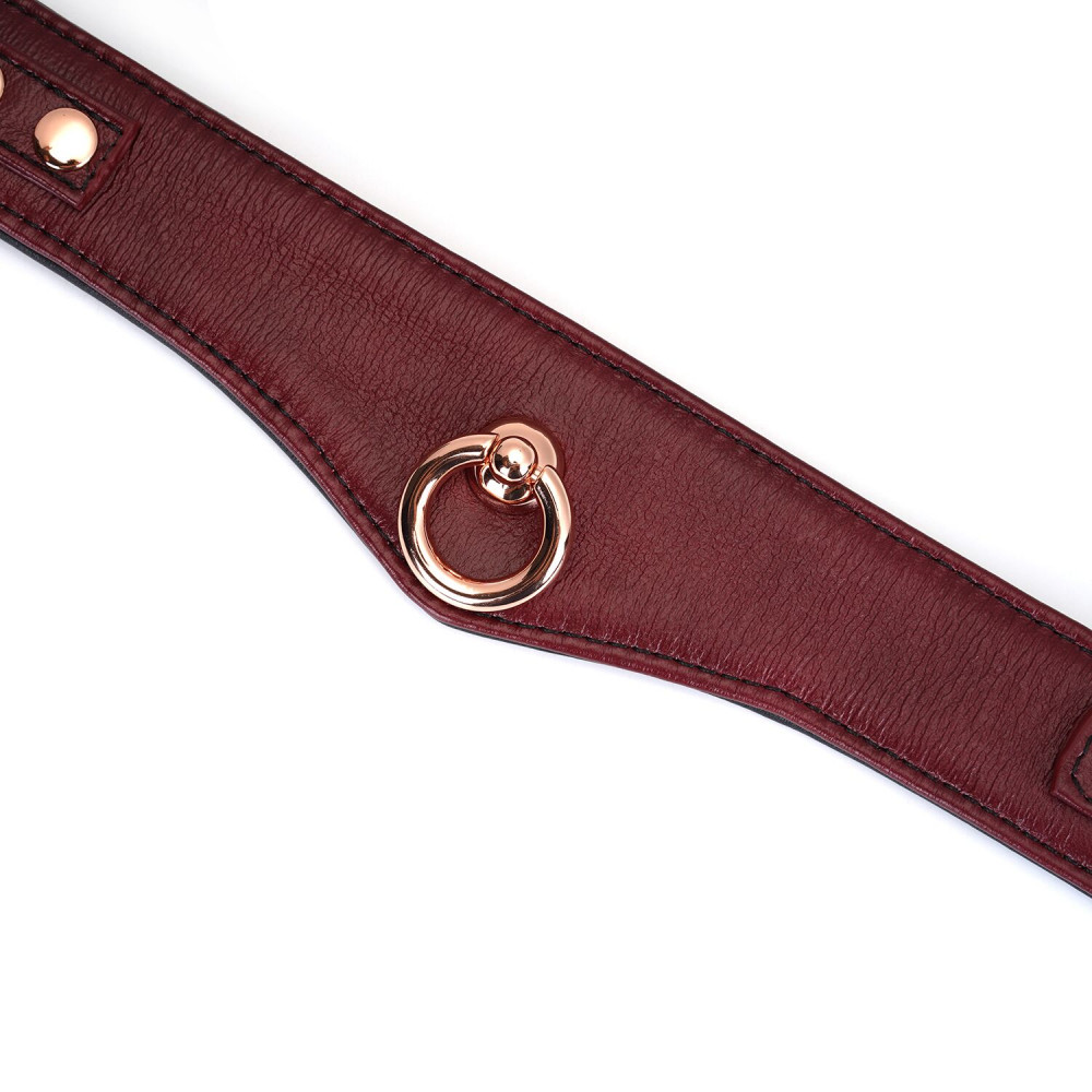 Ошейники, поводки - Ошейник с поводком Liebe Seele Wine Red Curved Collar 3