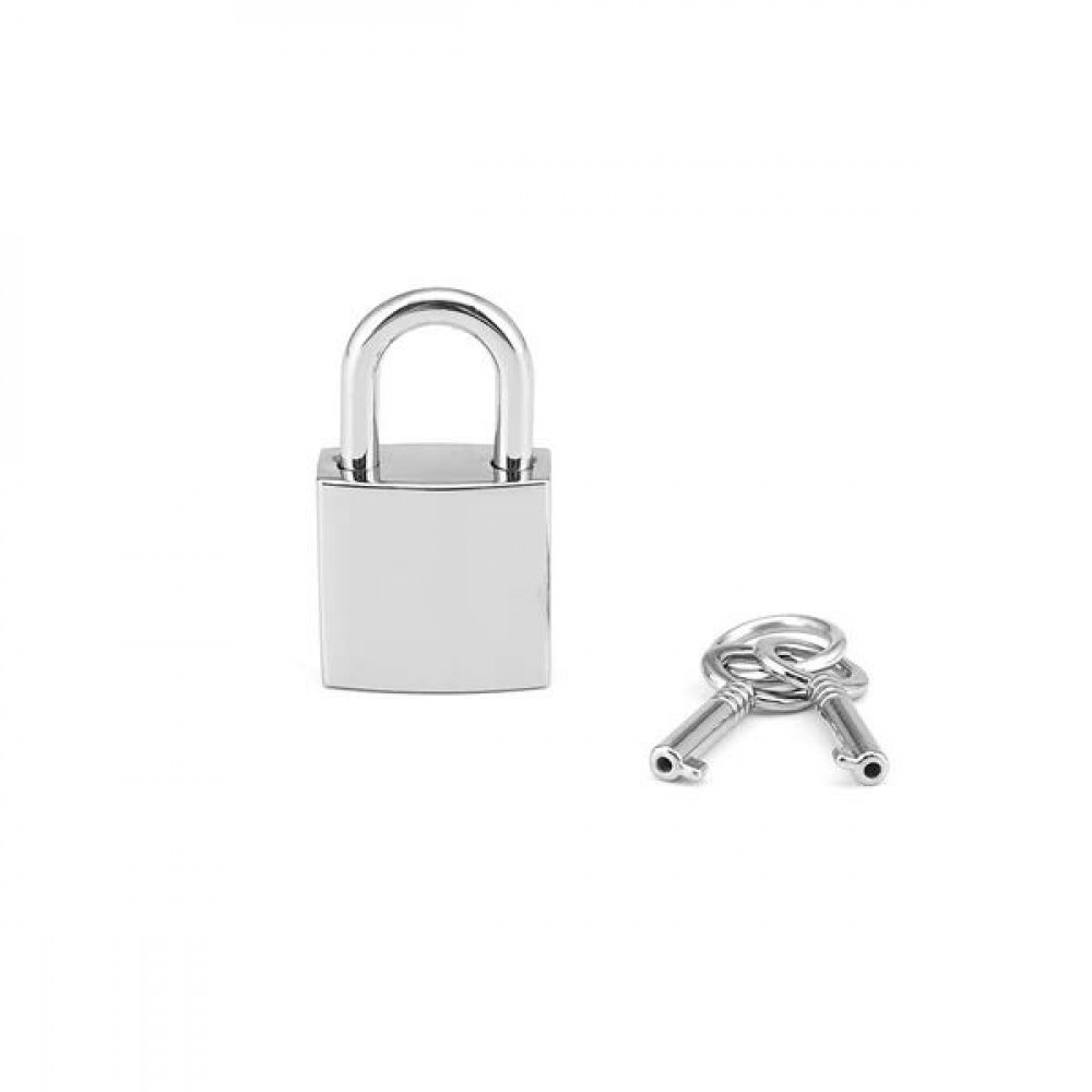 Наручники, веревки, бондажы, поножи - Замочек Liebe Seele Regular Padlock Silver (2 шт)