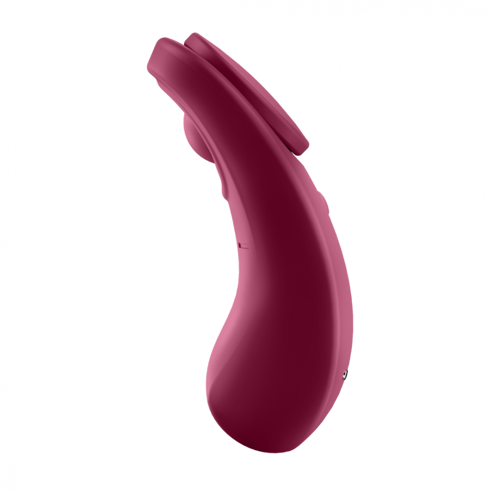 Вибратор - Вибратор в трусики Sexy Secret с магнитом и управлением с телефона Satisfyer (Германия) 5