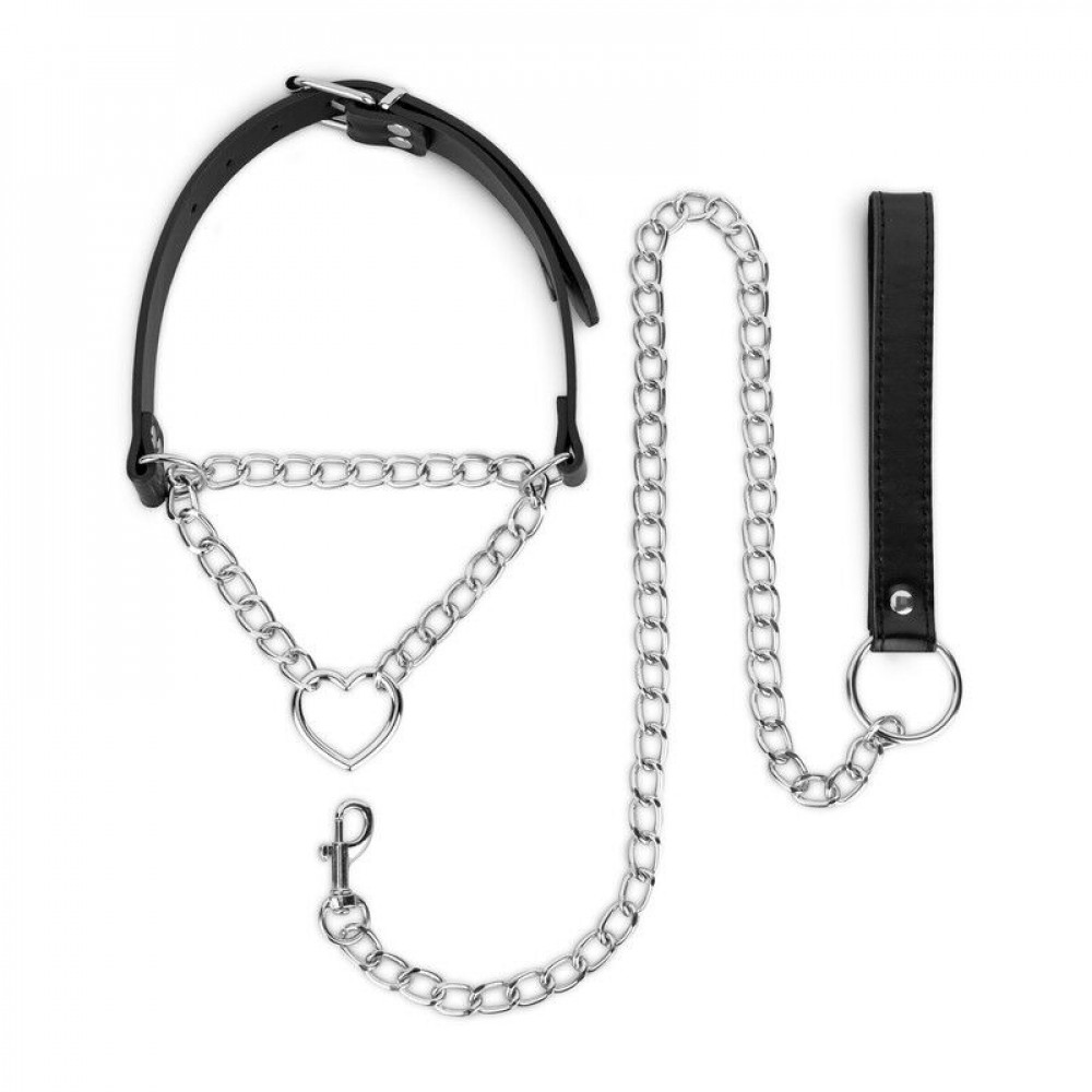 Ошейники, поводки - Ошейник с поводком Bedroom Fantasies: Collar with Chain - Silver 1
