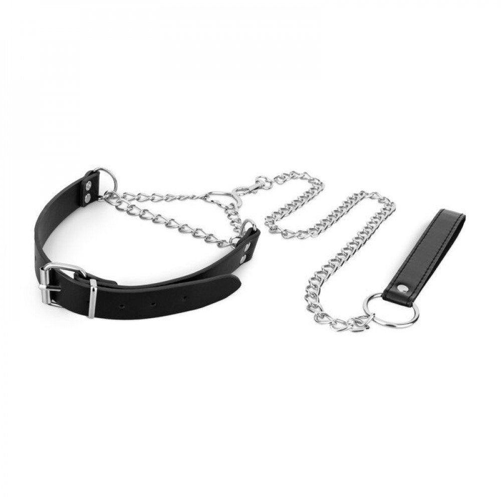 Ошейники, поводки - Ошейник с поводком Bedroom Fantasies: Collar with Chain - Silver 5