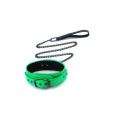Ошейник с поводком NS Novelties ELECTRA COLLAR & LEASH GREEN