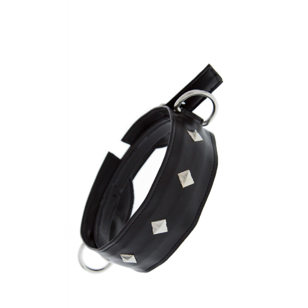 Ошейники, поводки - Ошейни с заклепками GP COLLAR WITH STUDS