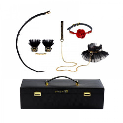 Королевский набор из итальянской кожи UPKO в чемодане Luxurious & Romantic Kit, 5 предметов
