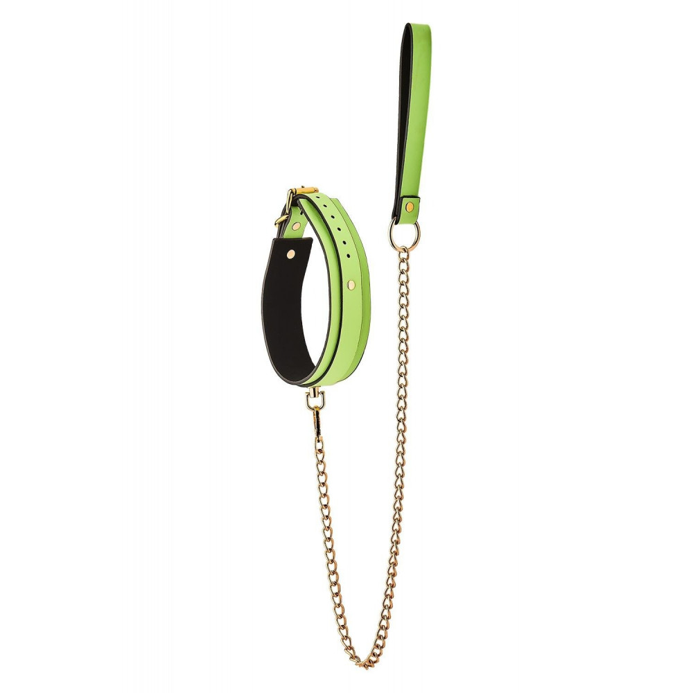 БДСМ игрушки - Ошейник с поводком светящийся в темноте Dream Toys Radiant Collar & Leash зеленый 1