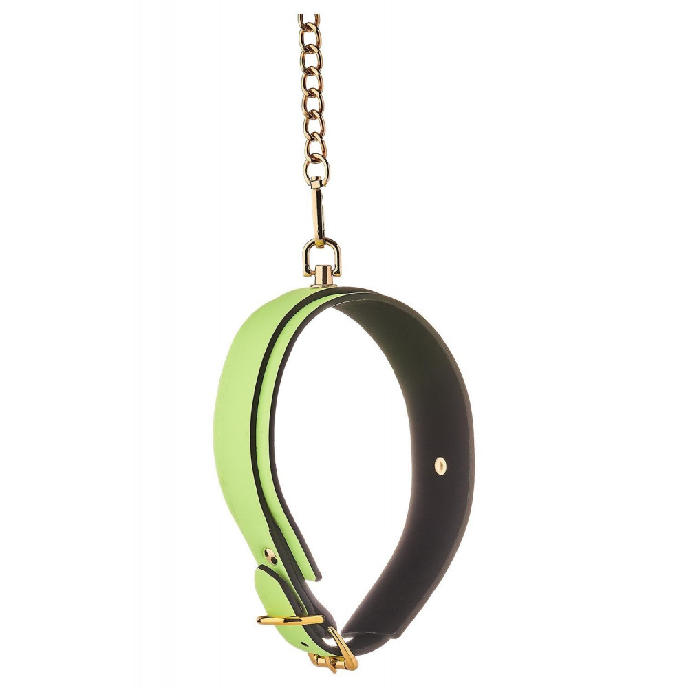 БДСМ игрушки - Ошейник с поводком светящийся в темноте Dream Toys Radiant Collar & Leash зеленый 2