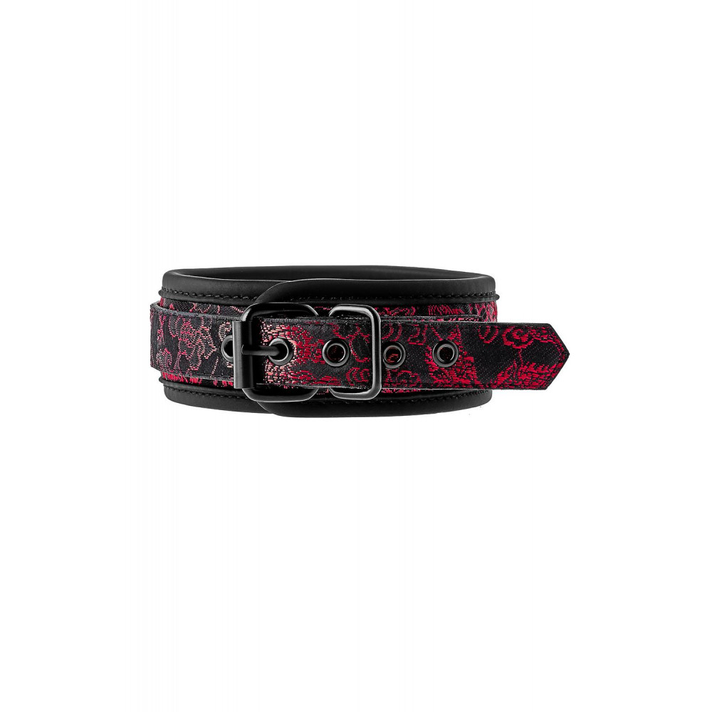 Ошейники, поводки - Ошейник с поводком BLAZE DELUXE COLLAR & LEASH 1