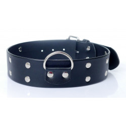 Ошейник из искуственной кожи с шипами Fetish Boss Series - Collar with studs, BS3300098