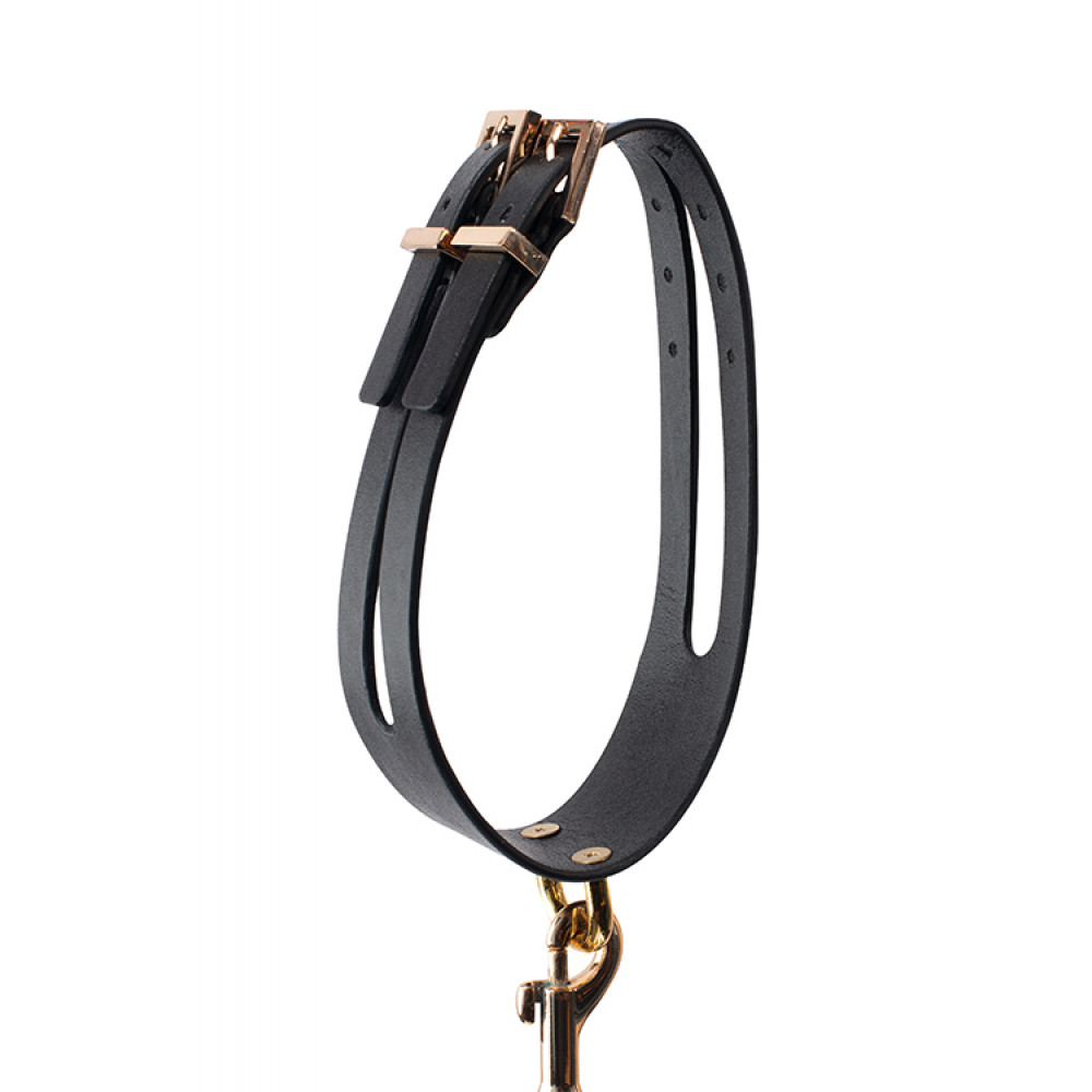 Ошейники, поводки - Поводок с ошейником GP PREMIUM COLLAR LEASH SET BLACK 2