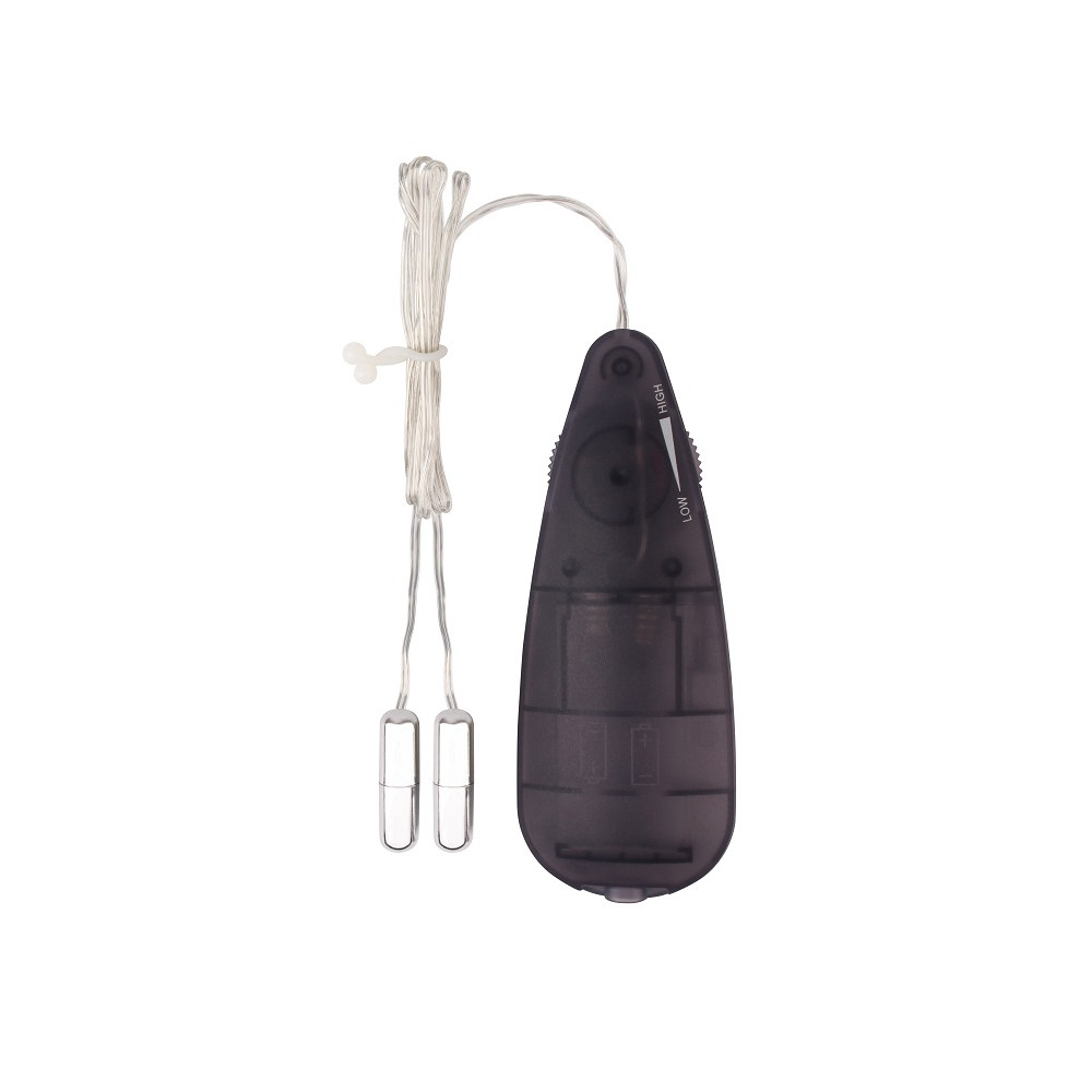 Секс игрушки - Мини-вибропули серебристые CHISA Hi-Basic Mini Twins Bullet с черным проводным пультом 1