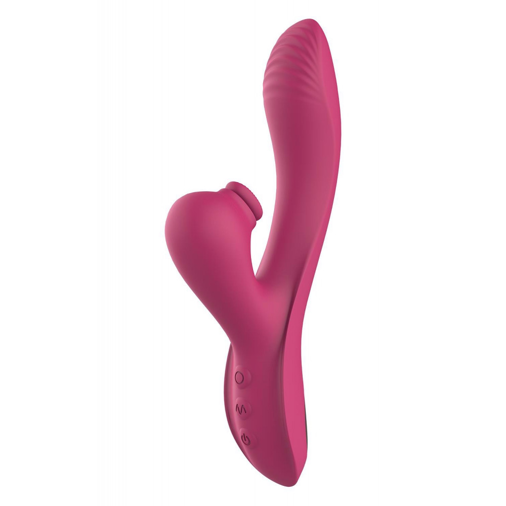 Секс игрушки - Вибратор кролик двойной стимуляции Dream Toys Dual G-Spot Vibe Essentials, розовый 2