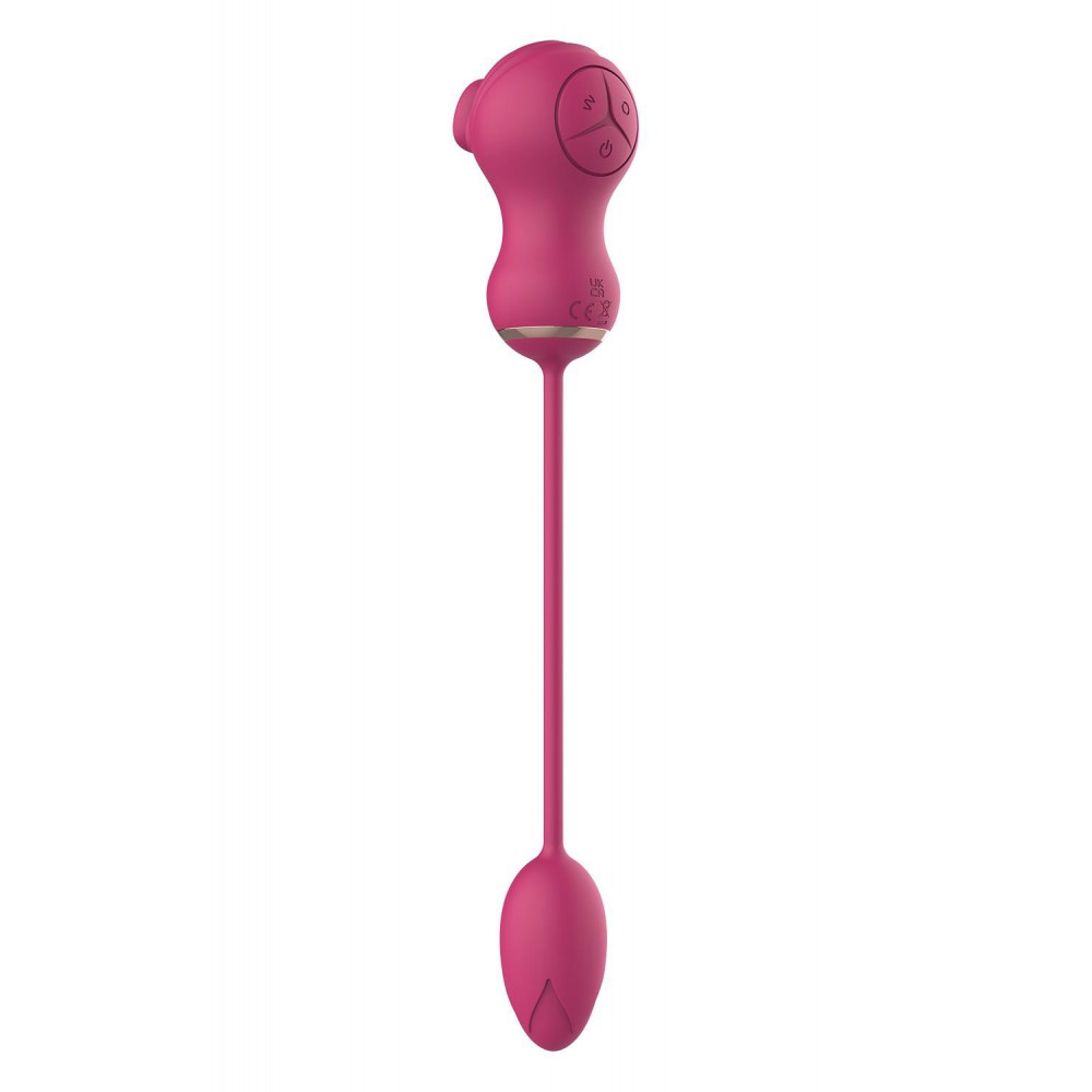 Секс игрушки - Гибкий двойной стимулятор и вибрационное яйцо Dream Toys Essentials, розовый 3