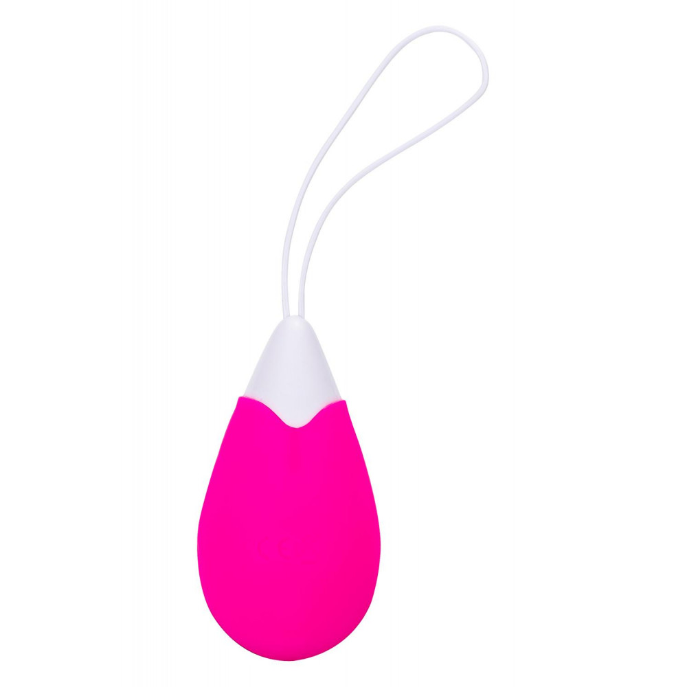 Вагинальные шарики - Виброяйцо с беспроводным управлением Dream Toys ALL TIME FAVORITES 10F REMOTE EGG 1