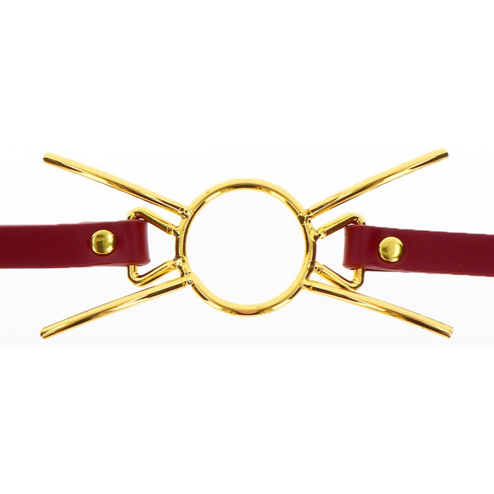 Кляп - Кляп с кольцом Taboom Open Mouth Spider Gag 3