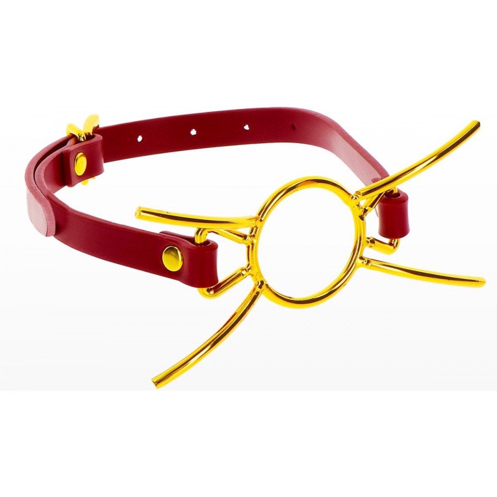 Кляп - Кляп с кольцом Taboom Open Mouth Spider Gag 2