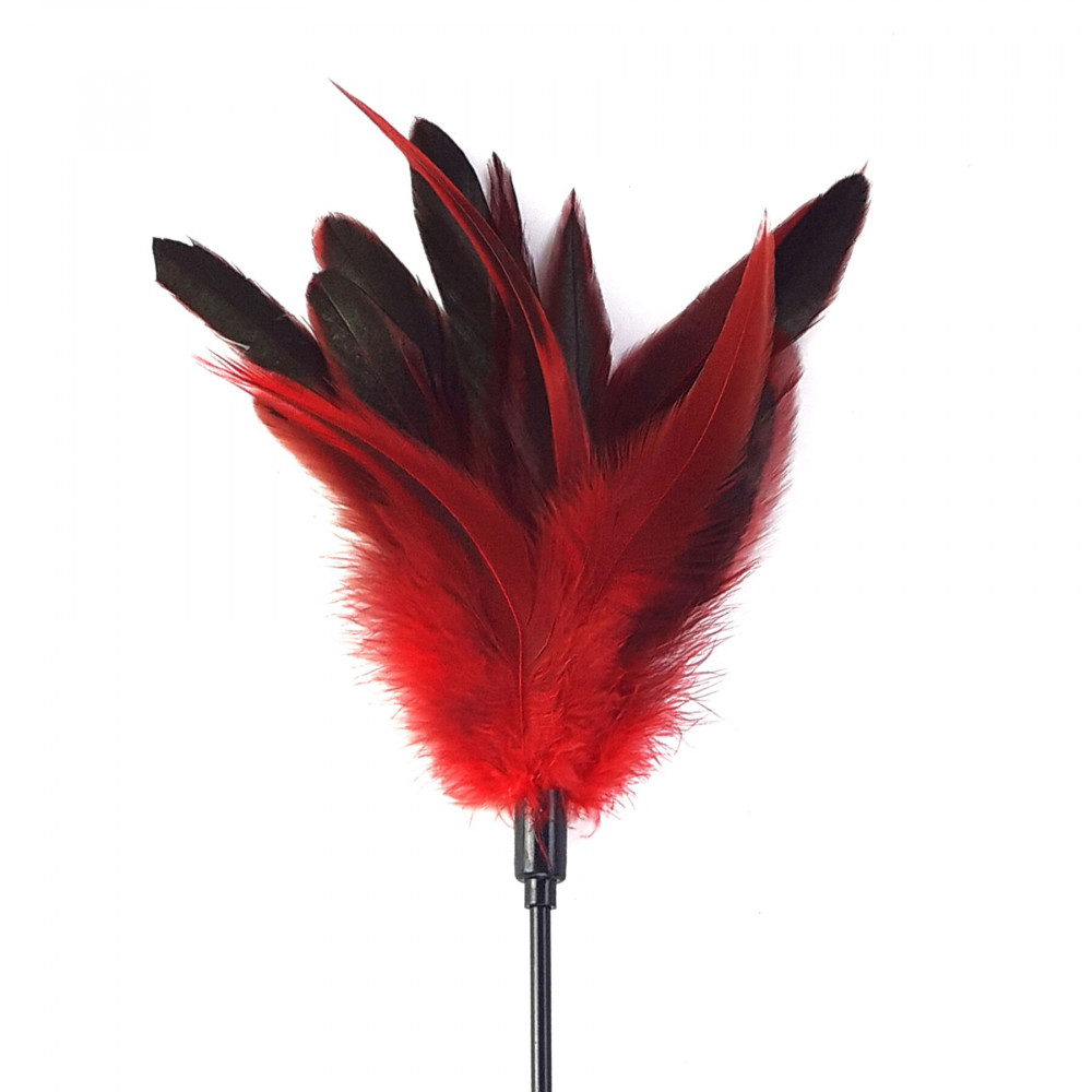 Плети, стеки, флоггеры, тиклеры - Щекоталка красная Art of Sex - Feather Paddle, перо молодого петуха 2