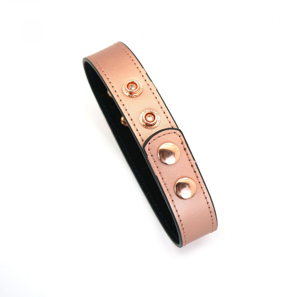 Ошейники, поводки - Ошейник с зажимами для сосков Liebe Seele Rose Gold Memory Collar with Nipple Clamps 2