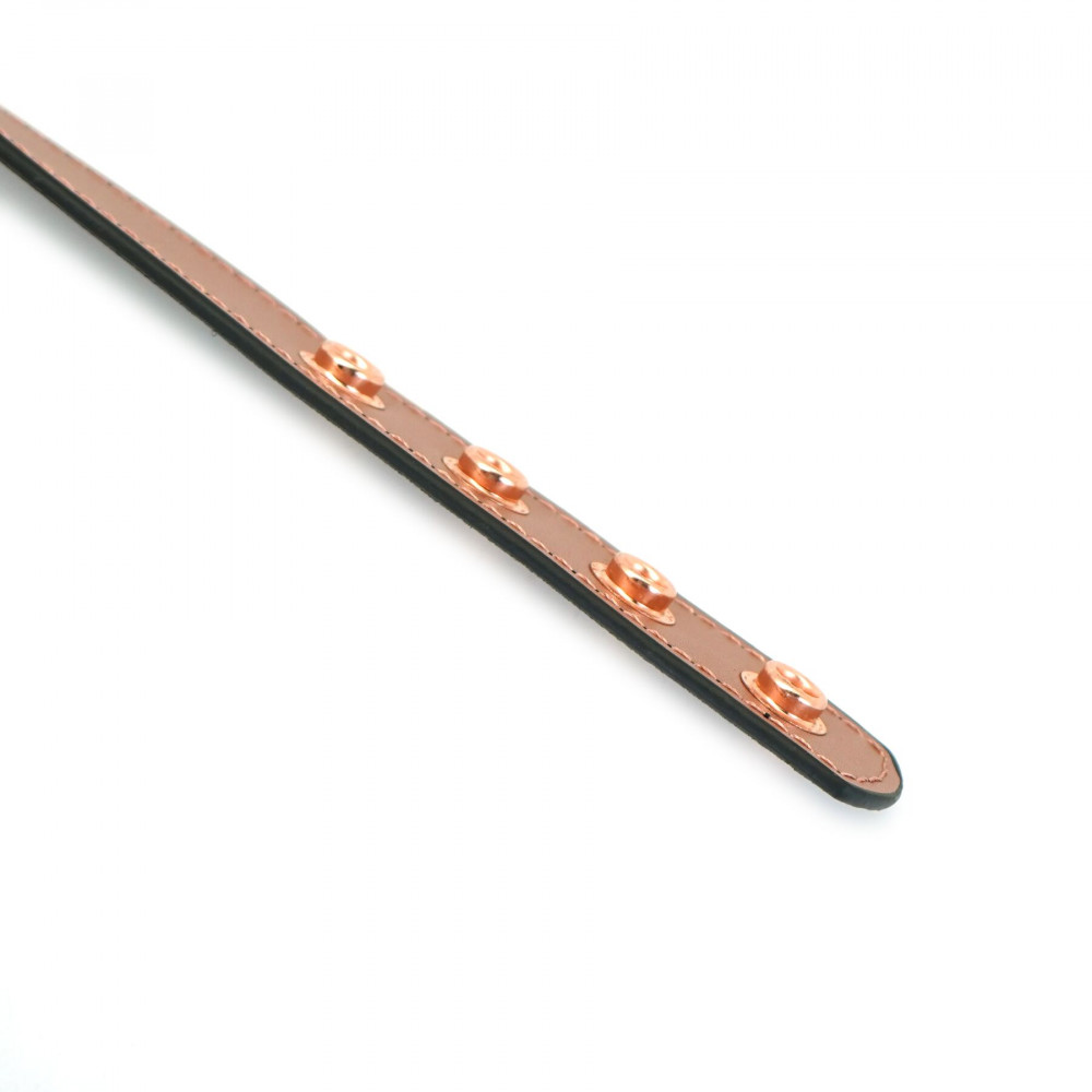 Ошейники, поводки - Ошейник с зажимами для сосков Liebe Seele Rose Gold Memory Collar with Nipple Clamps 4