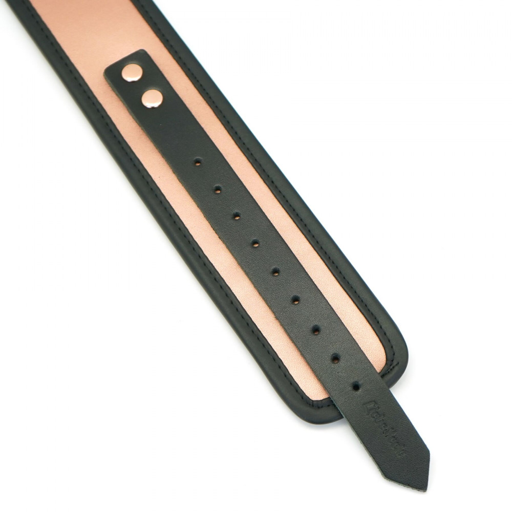 Ошейники, поводки - Ошейник с поводком Liebe Seele Rose Gold Memory Collar with Leash 3