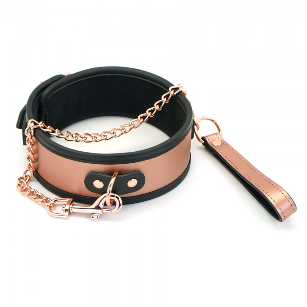 Ошейники, поводки - Ошейник с поводком Liebe Seele Rose Gold Memory Collar with Leash