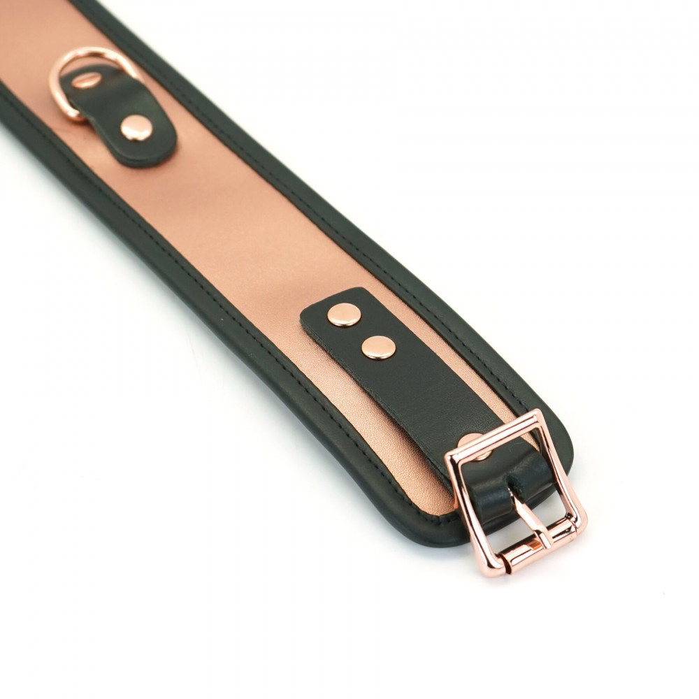 Ошейники, поводки - Ошейник с поводком Liebe Seele Rose Gold Memory Collar with Leash 6